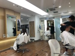 -THE LOG SALON 记录