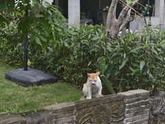 -黄埔古港