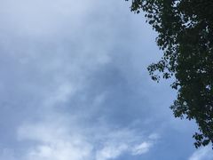 -元洲装饰(杭州东路店)