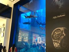 -迪拜水族馆及水下动物园
