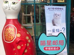 -猫咪博物馆(顶澳仔猫街店)