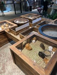 -酷嗒动物文化乐园(cutezoo西溪乐天城店)