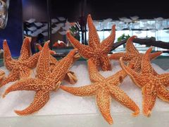 -上宴精品海鲜姿造(晶融汇旗舰店)