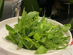 -烹然四季椰子鸡火锅(姚家园万象汇店)
