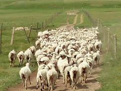 -青海湖国家重点风景名胜区