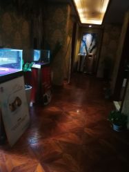 -水女人科技美肤·LDM·超清秀