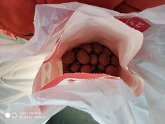 -阿男野栗王(金门路店)