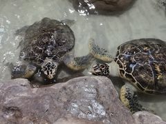 -杭州海底世界