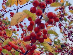 -兰陵国家农业公园