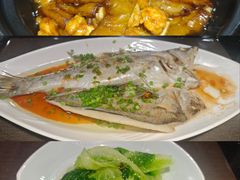 -金泽大酒店·卢塞恩餐厅·年夜饭春节连市