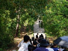 -青龙山国家森林公园