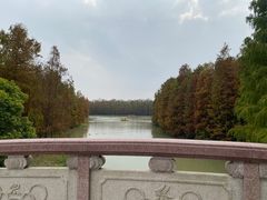 -上海海湾国家森林公园