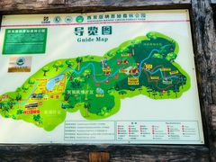 -西双版纳原始森林公园