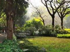 -晓港公园