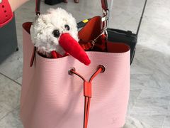 -埃马努埃莱二世拱廊