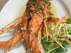 -Red Lobster