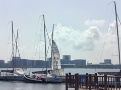 -滴水湖帆船营地