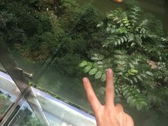 -英西峰林·洞天仙境
