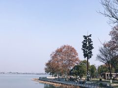 -东湖磨山景区