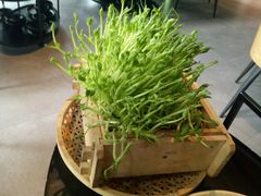 -凤园椰珍·臻品椰子鸡(保利时光里店)
