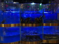 水产区-蛙一刀·麻椒鱼火锅(金仙桥店)