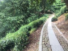 -西湖风景区十里琅珰-五云山