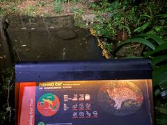 -夜间野生动物园