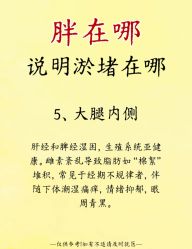 -Fundi张玉珊修身堂·indiba·BTL科技瘦身