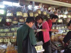-大湾区中央湿地公园-十九涌
