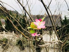 -屈原故里文化旅游区