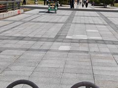-江滩湿地公园
