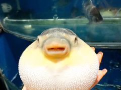 -永安鱼庄·镇江菜(东吴路店)