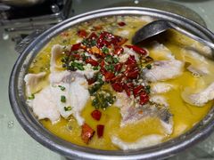 -刘胖子家常菜·蹄花焖藕(中央花园店)