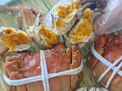 -蟹天蟹地农家菜·阳澄湖大闸蟹(浅水湾店)