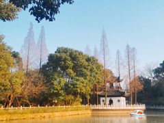 -秋霞圃