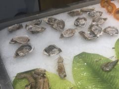 -鹿客·臻鲜海鲜自助餐厅(新塘万达广场店)