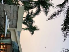 -默迹咖啡馆