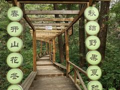 -大岭沟猕猴桃谷风景区