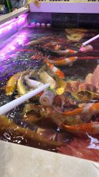 点击看大图 -孩子王(繁花中心店)