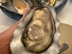 -斯普汇生蚝牛排馆(中骏世界城店)