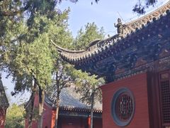 -洛阳白马寺