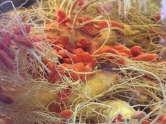 -果松木炭酸菜铜火锅·外婆参鸡汤