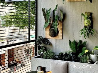 𝐒𝐨𝐮𝐭𝐡𝐞𝐫𝐧 𝐭𝐫𝐢𝐩