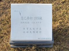 -滨江生态公园