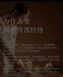 点击看大图 -玛莲朵·海菲秀冰珀科