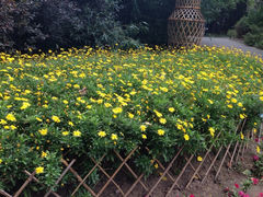 iphone_upload_pic-紫竹院公园冰场