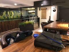 -百好乐宠物友好餐厅(朝外大街店)