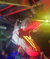 -恐龙探索乐园(磁器口店)