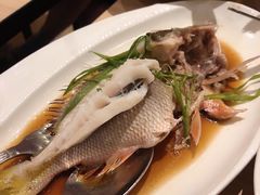 -Isla Sugbu Seafood City