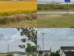 -七的湖·晚芳亭·阳澄湖农家菜·大闸蟹(莲花岛店)